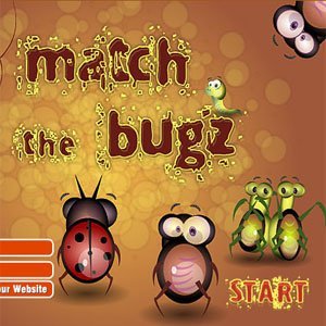 Match The Bugz