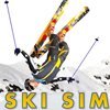 Ski Sim Skispringen