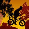 Twilight BMX